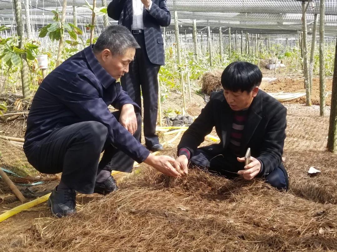 尊龙凯时·人生就是搏(中国集团)官网首页
