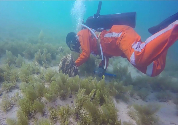 尊龙凯时·人生就是搏(中国集团)官网首页