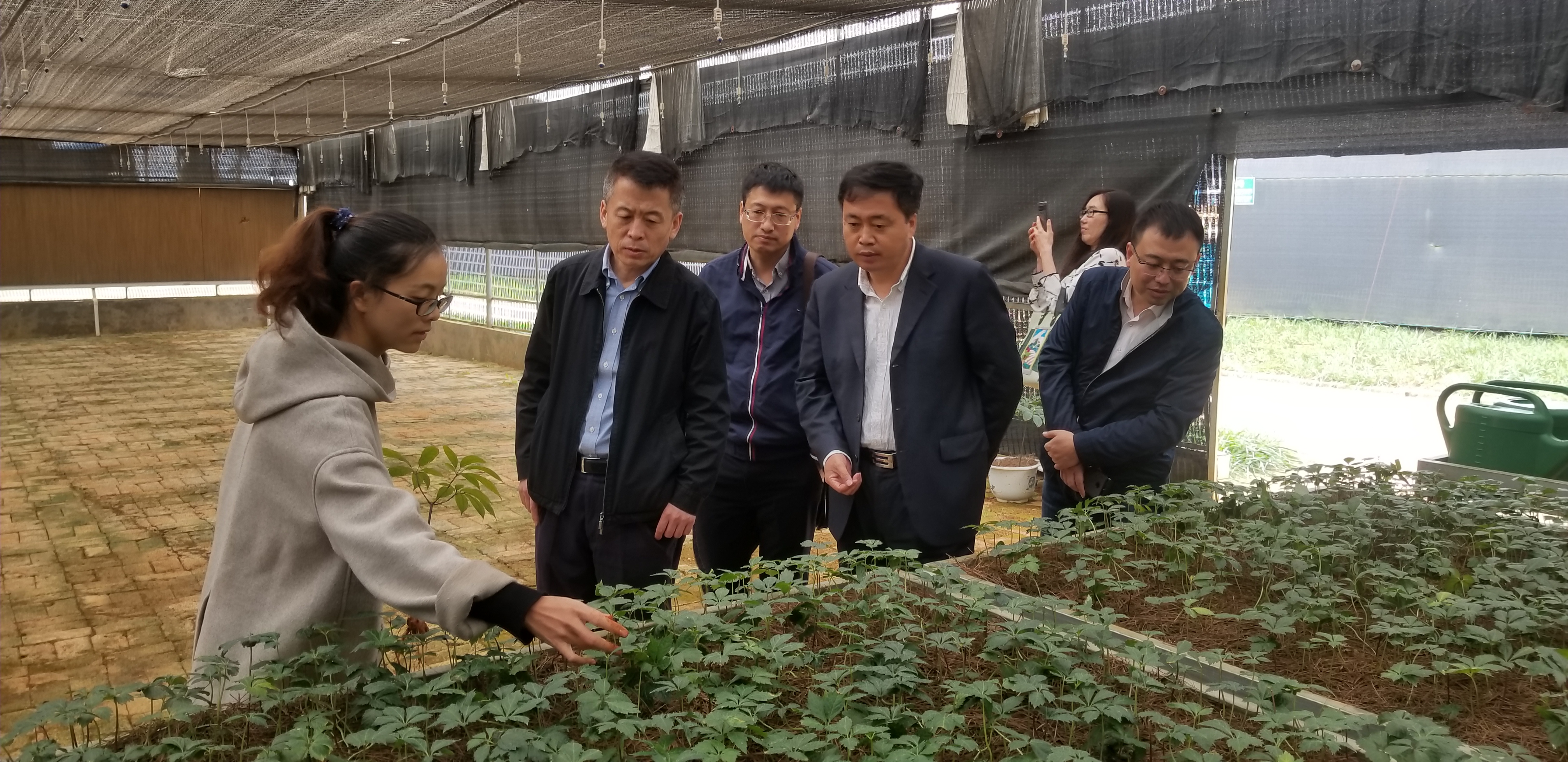 尊龙凯时·人生就是搏(中国集团)官网首页