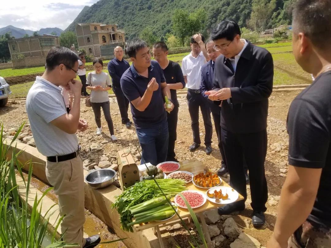 尊龙凯时·人生就是搏(中国集团)官网首页