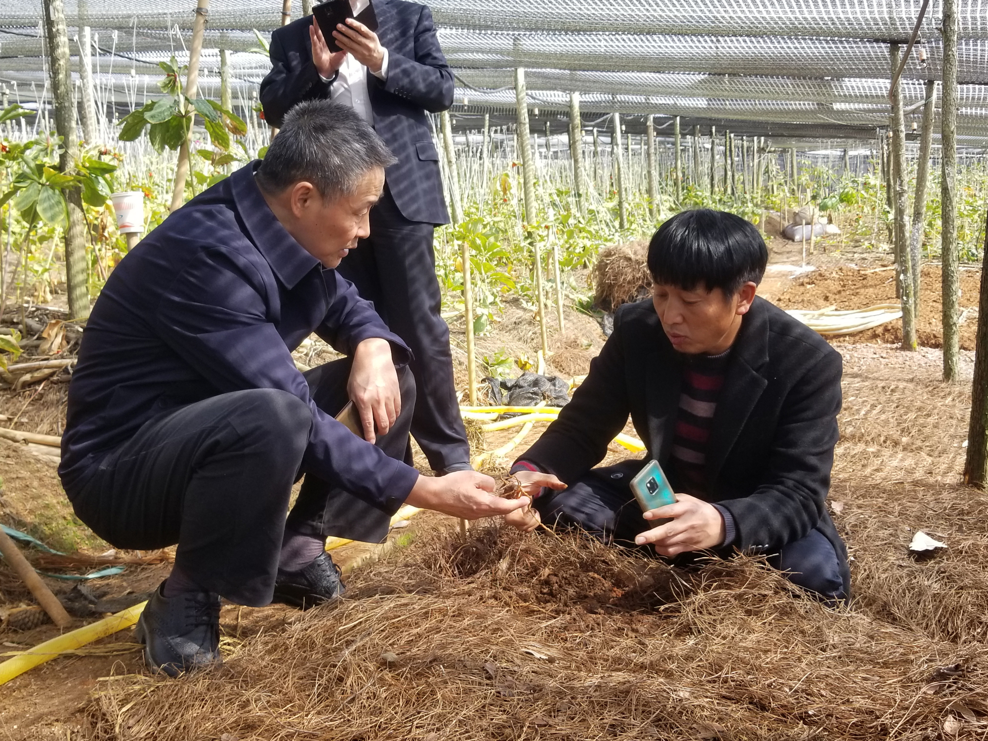 尊龙凯时·人生就是搏(中国集团)官网首页