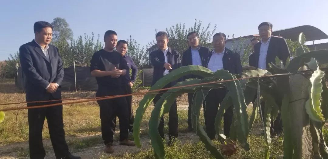 尊龙凯时·人生就是搏(中国集团)官网首页