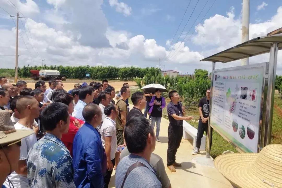 尊龙凯时·人生就是搏(中国集团)官网首页