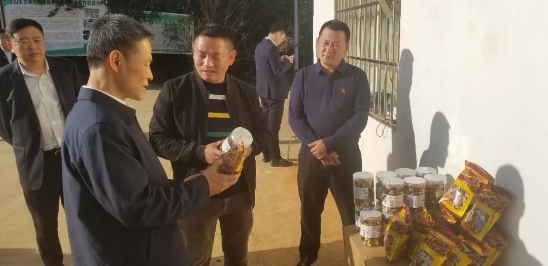 尊龙凯时·人生就是搏(中国集团)官网首页