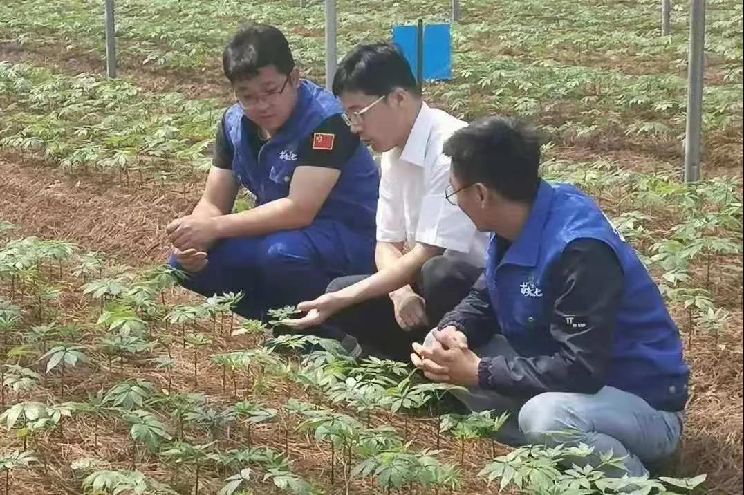 尊龙凯时·人生就是搏(中国集团)官网首页