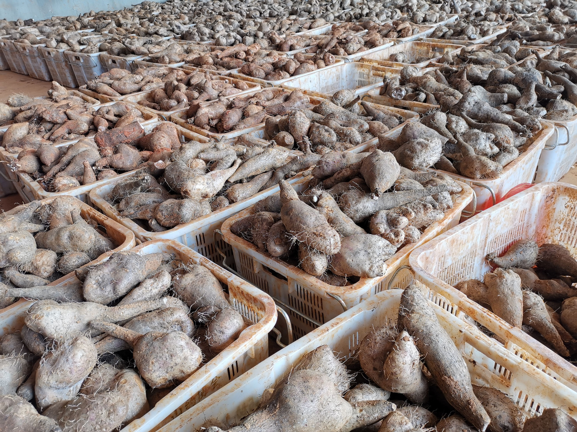 尊龙凯时·人生就是搏(中国集团)官网首页