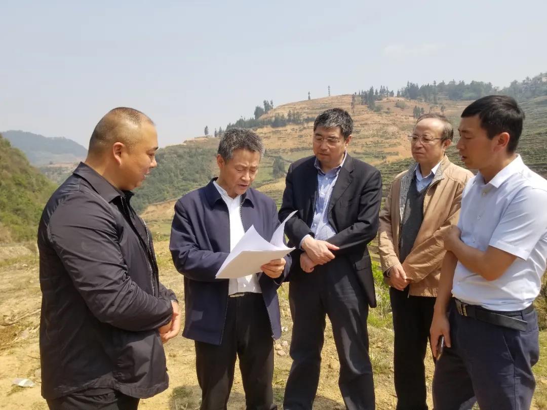 尊龙凯时·人生就是搏(中国集团)官网首页
